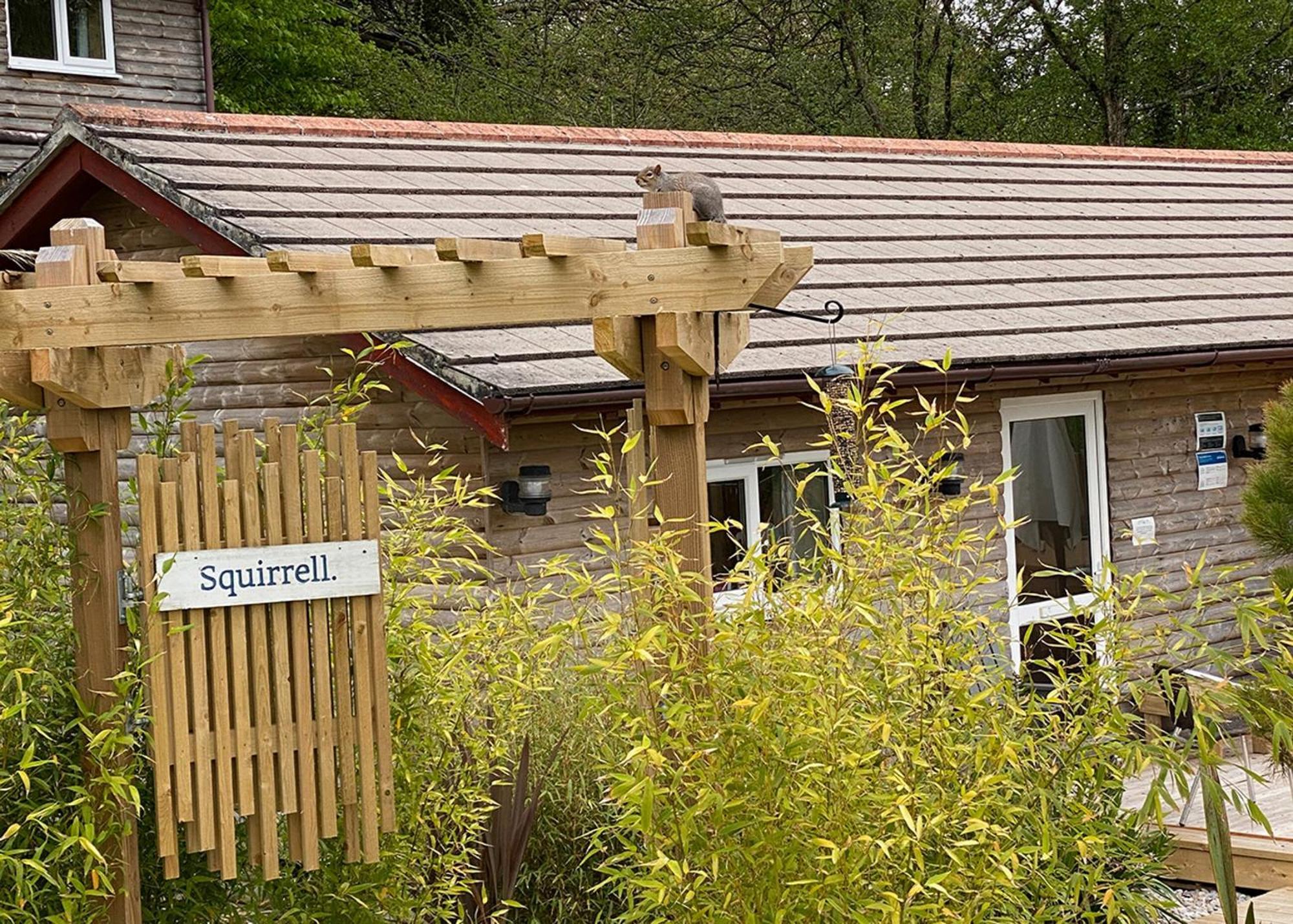 Ivyleaf Combe Lodges Stratton  المظهر الخارجي الصورة